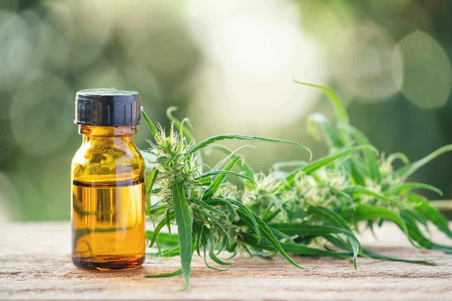 What Does CBD Oil do, and what are it's Side Effects?